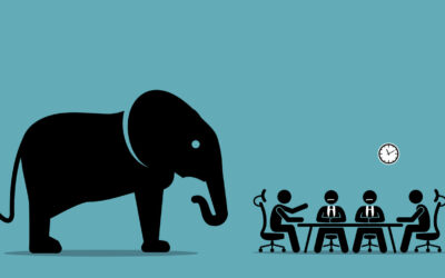 A big ugly elephant in your team meeting?  How do we talk about the unspoken?